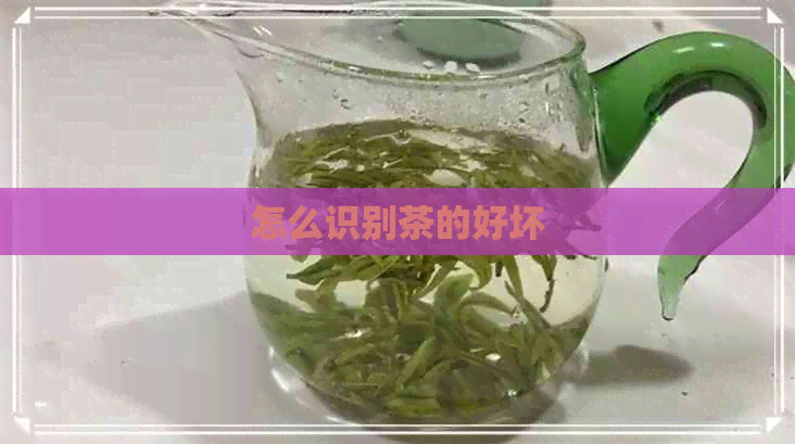 怎么识别茶的好坏