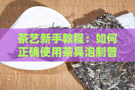 茶艺新手教程：如何正确使用茶具泡制普洱茶