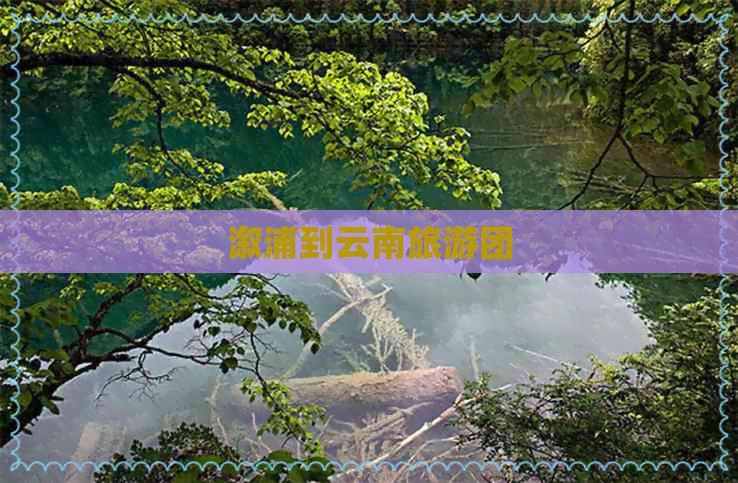 溆浦到云南旅游团