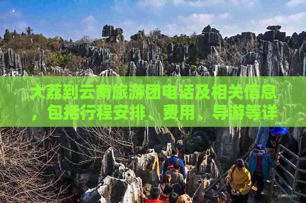 大荔到云南旅游团电话及相关信息，包括行程安排、费用、导游等详细解答