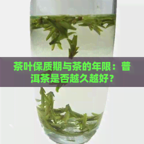 茶叶保质期与茶的年限：普洱茶是否越久越好？