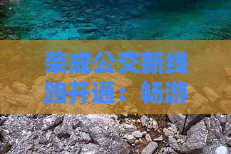 荣成公交新线路开通：畅游威海，体验旅游专线