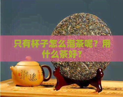 只有杯子怎么泡茶呢？用什么茶好？