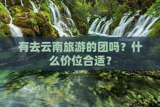 有去云南旅游的团吗？什么价位合适？