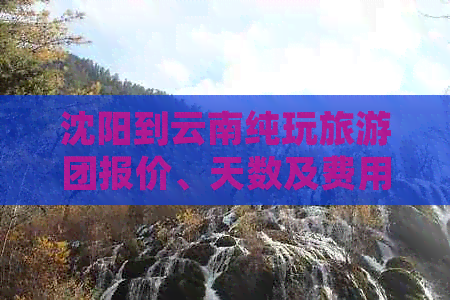 沈阳到云南纯玩旅游团报价、天数及费用全解析，6日游仅需XXX元起