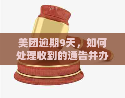 美团逾期9天，如何处理收到的通告并办理相关事宜？