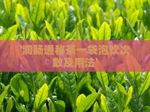 '润肠通秘茶一袋泡饮次数及用法'