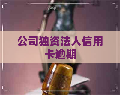 公司独资法人信用卡逾期