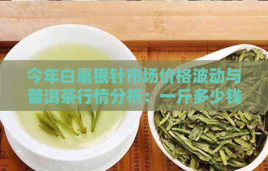 今年白毫银针市场价格波动与普洱茶行情分析：一斤多少钱？