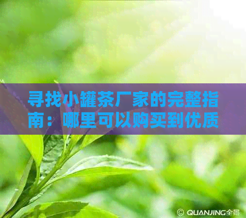 寻找小罐茶厂家的完整指南：哪里可以购买到优质的小罐茶？