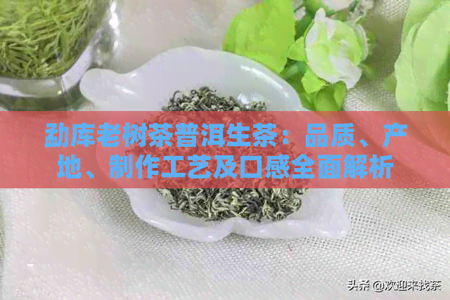 勐库老树茶普洱生茶：品质、产地、制作工艺及口感全面解析