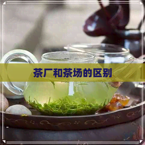 茶厂和茶场的区别