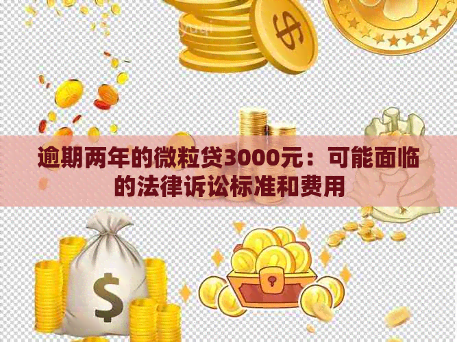 逾期两年的微粒贷3000元：可能面临的法律诉讼标准和费用