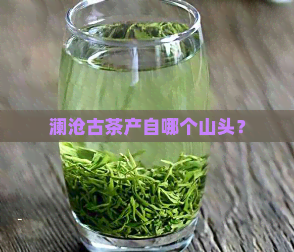 澜沧古茶产自哪个山头？