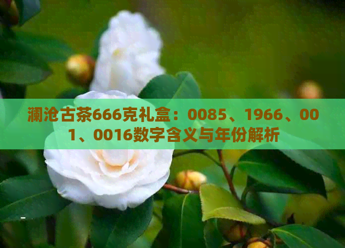 澜沧古茶666克礼盒：0085、1966、001、0016数字含义与年份解析