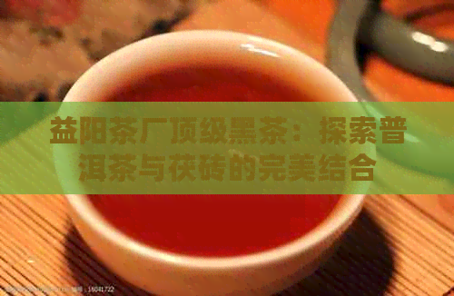 益阳茶厂顶级黑茶：探索普洱茶与茯砖的完美结合