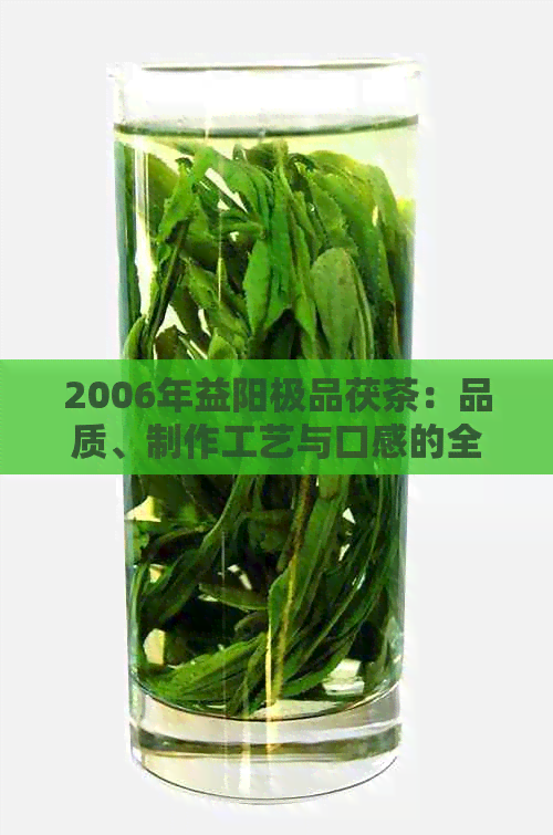 2006年益阳极品茯茶：品质、制作工艺与口感的全面解析