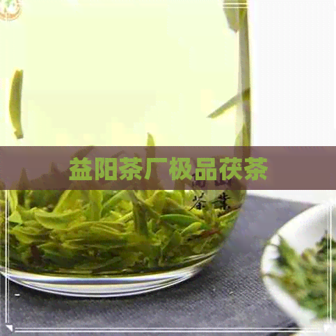 益阳茶厂极品茯茶