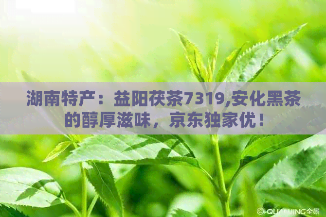 湖南特产：益阳茯茶7319,安化黑茶的醇厚滋味，京东独家优！