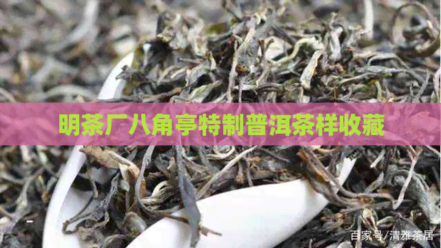 明茶厂八角亭特制普洱茶样收藏