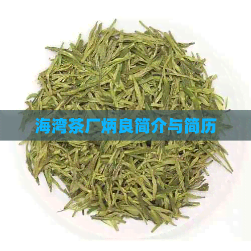 海湾茶厂炳良简介与简历