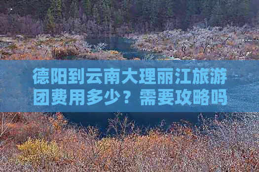 德阳到云南大理丽江旅游团费用多少？需要攻略吗？