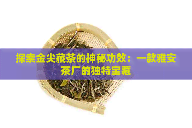 探索金尖藏茶的神秘功效：一款雅安茶厂的独特宝藏