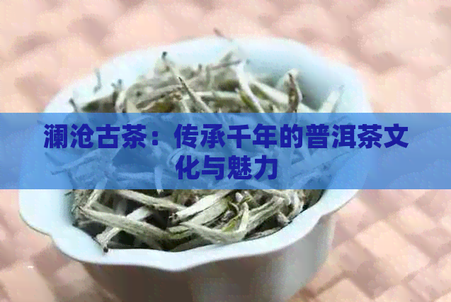 澜沧古茶：传承千年的普洱茶文化与魅力