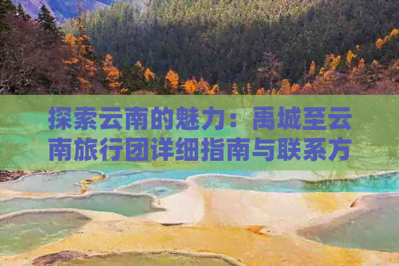 探索云南的魅力：禹城至云南旅行团详细指南与联系方式