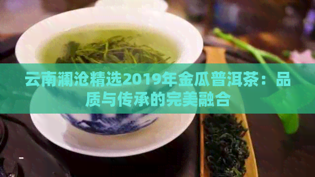 云南澜沧精选2019年金瓜普洱茶：品质与传承的完美融合