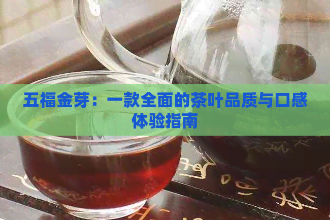 五福金芽：一款全面的茶叶品质与口感体验指南