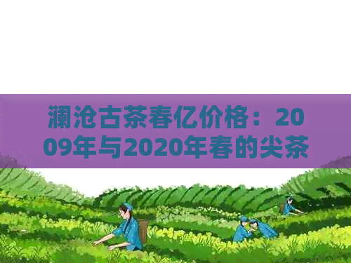 澜沧古茶春亿价格：2009年与2020年春的尖茶及整批茶叶价格