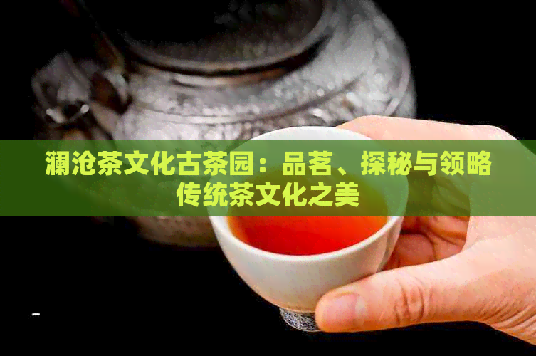 澜沧茶文化古茶园：品茗、探秘与领略传统茶文化之美