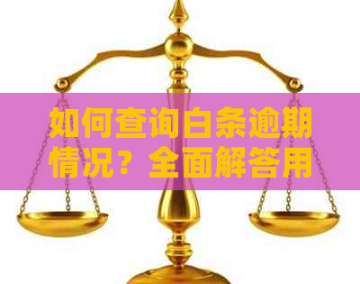 如何查询白条逾期情况？全面解答用户关心的问题