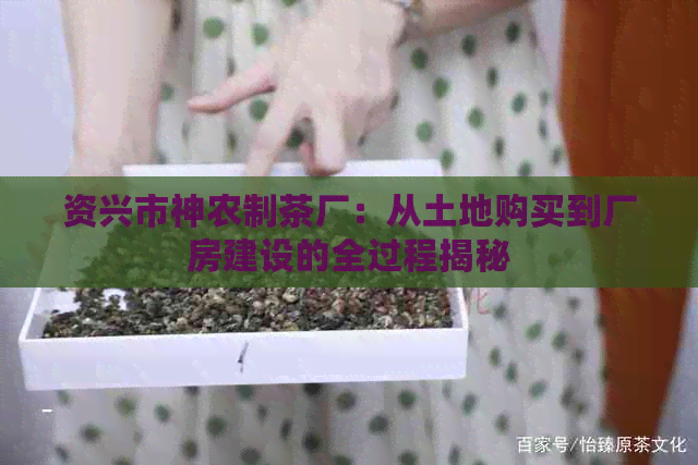 资兴市神农制茶厂：从土地购买到厂房建设的全过程揭秘