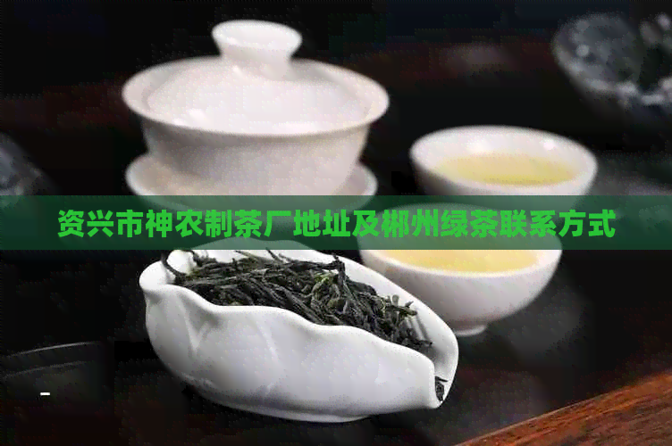 资兴市神农制茶厂地址及郴州绿茶联系方式