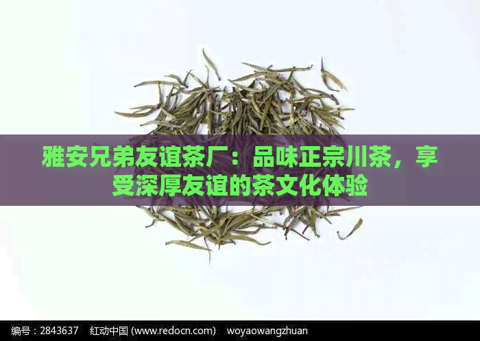 雅安兄弟友谊茶厂：品味正宗川茶，享受深厚友谊的茶文化体验