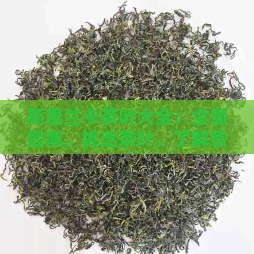 斯里兰卡茶叶大全：全面指南，挑选茶叶，了解茶文化与品鉴技巧