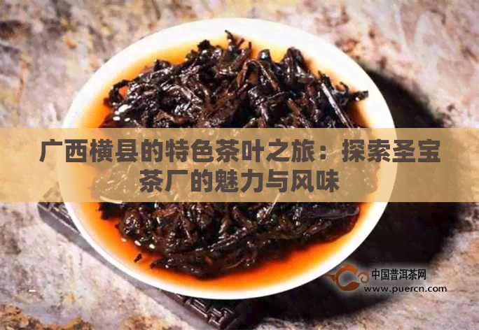 广西横县的特色茶叶之旅：探索圣宝茶厂的魅力与风味