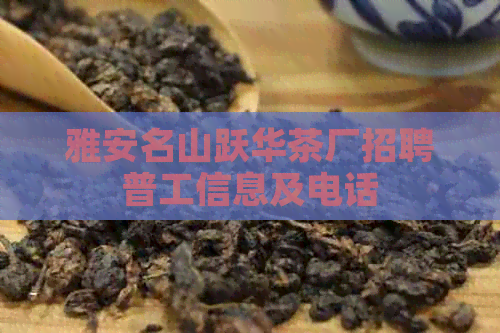 雅安名山跃华茶厂招聘普工信息及电话