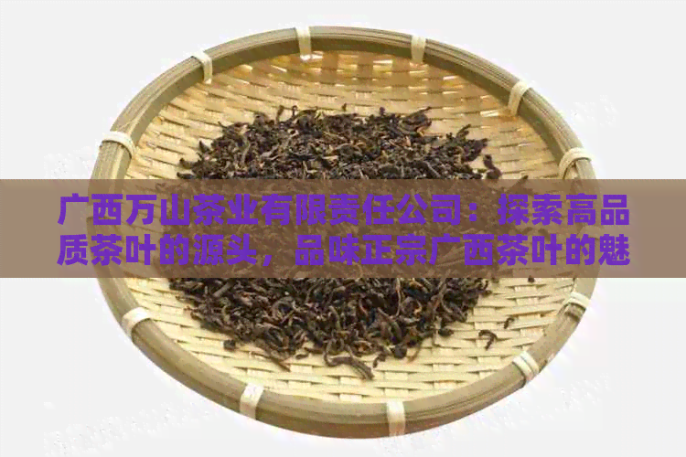 广西万山茶业有限责任公司：探索高品质茶叶的源头，品味正宗广西茶叶的魅力