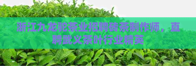 浙江九龙驼茶业招聘砖茶制作师，直聘武义茶叶行业精英