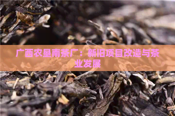 广西农垦南茶厂：新旧项目改造与茶业发展