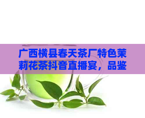 广西横县春天茶厂特色茉莉花茶抖音直播宴，品鉴茶叶的美好时光