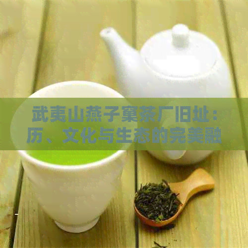 武夷山燕子窠茶厂旧址：历、文化与生态的完美融合