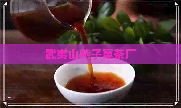 武夷山燕子窠茶厂