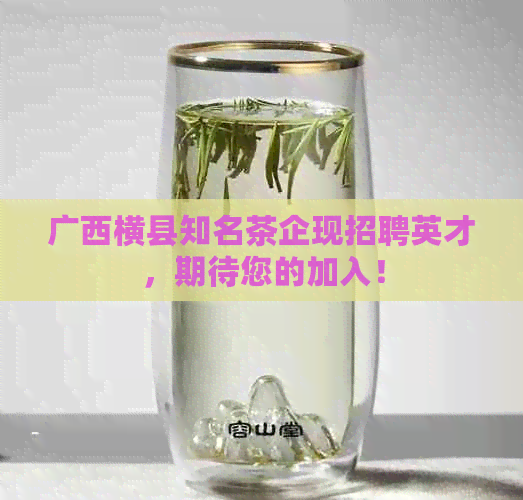 广西横县知名茶企现招聘英才，期待您的加入！