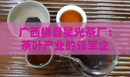 广西横县星光茶厂：茶叶产业的领军企业与创新之星