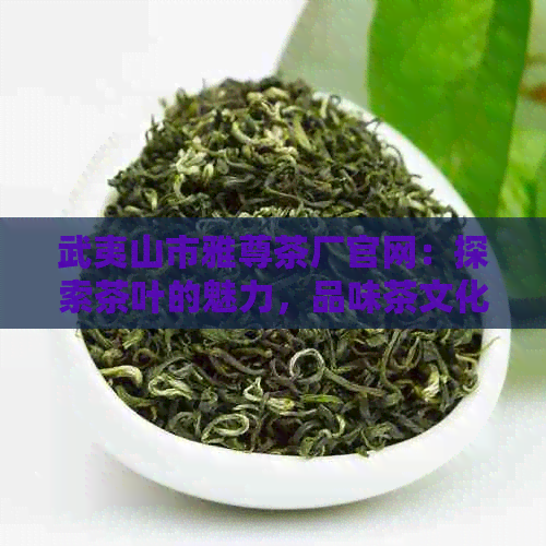 武夷山市雅尊茶厂官网：探索茶叶的魅力，品味茶文化的精髓