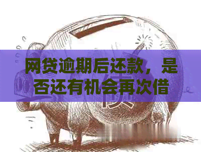 网贷逾期后还款，是否还有机会再次借款？